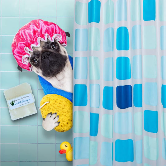 100% Natural Aloe Pet Soap // Free Exfoliating Soap Bag