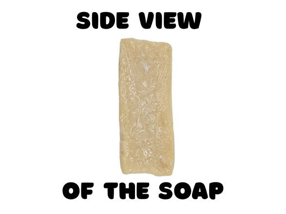 100% Natural Apple and Coconut Milk Soap // With Free Exfoliating Soap Bag
